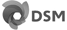DSM_logo315